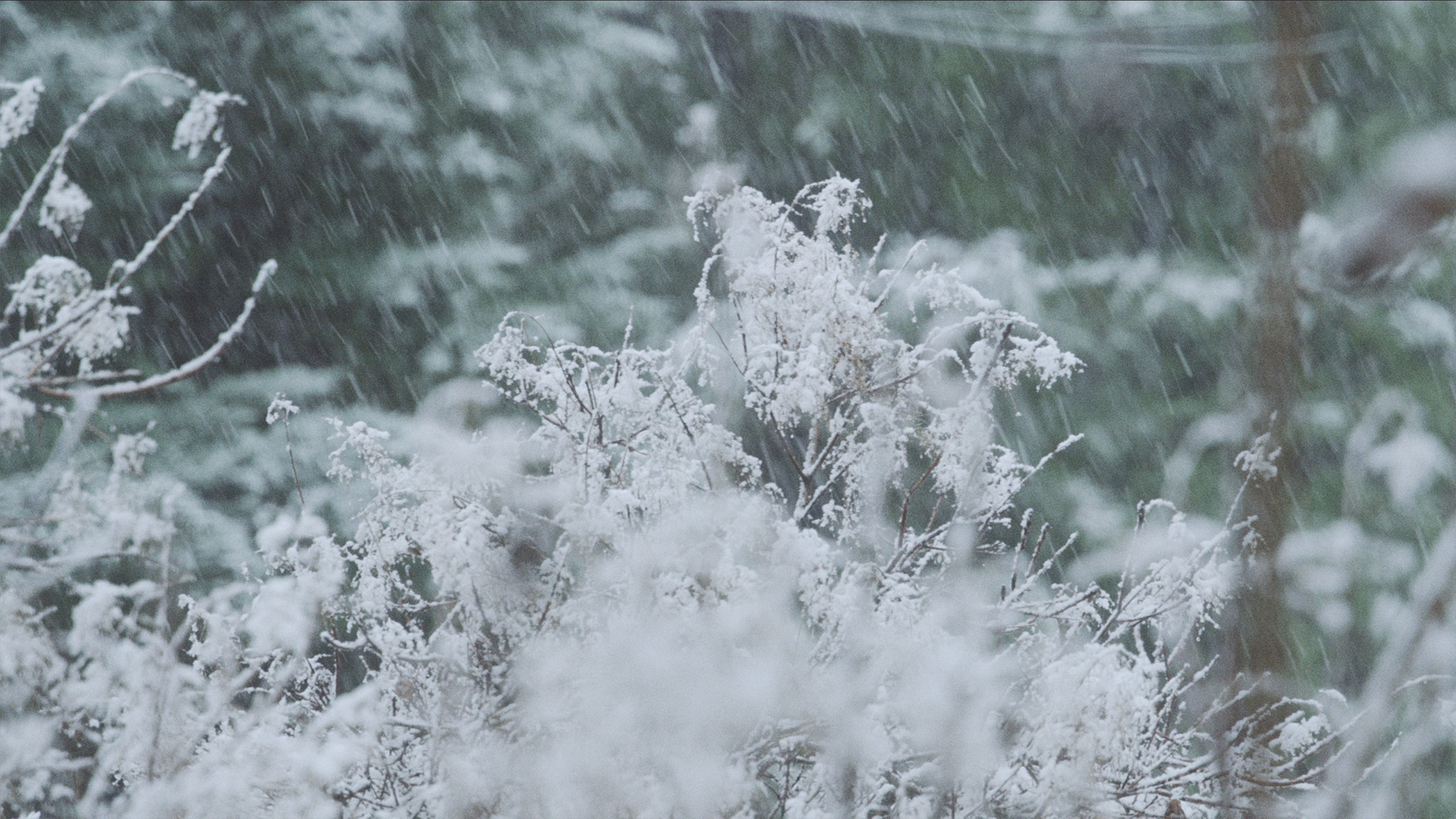 cinematic winter scene